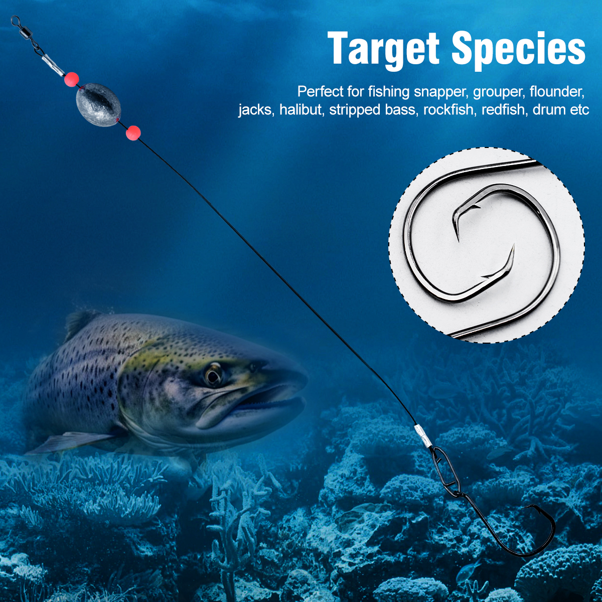 ZYZHE 2pcs Fishing Carolina Ri – Fishing Hook Circle Bewertung und Preis