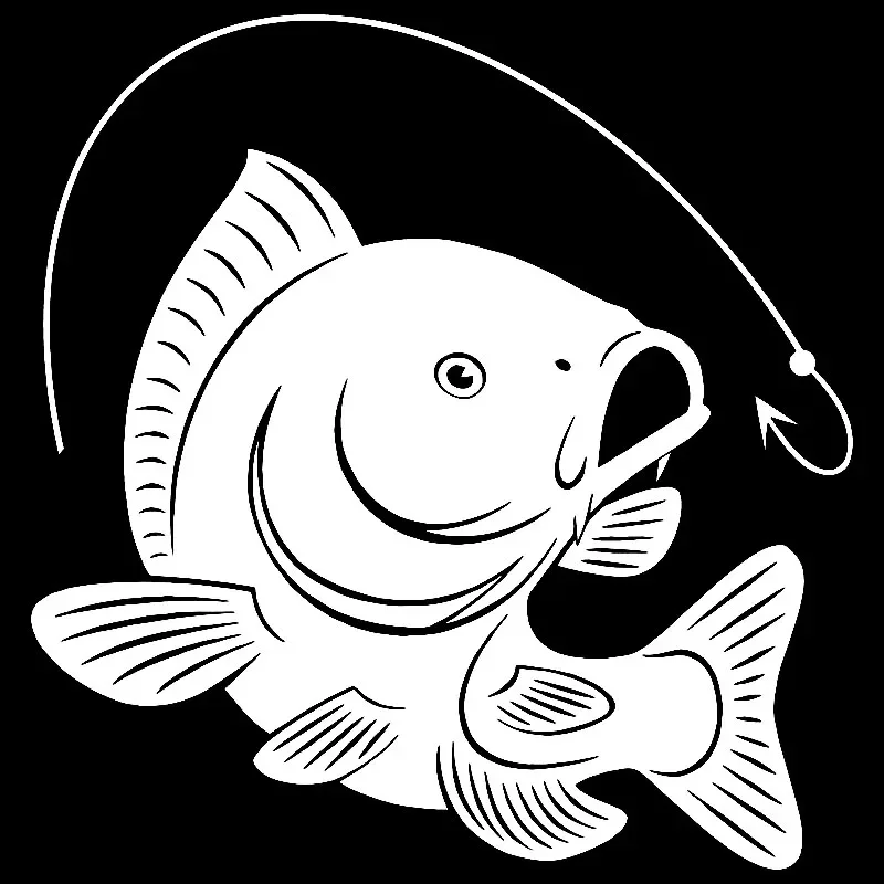 Carp Fishing Hook Decal Decora – Fishing Hook Bewertung und Preis