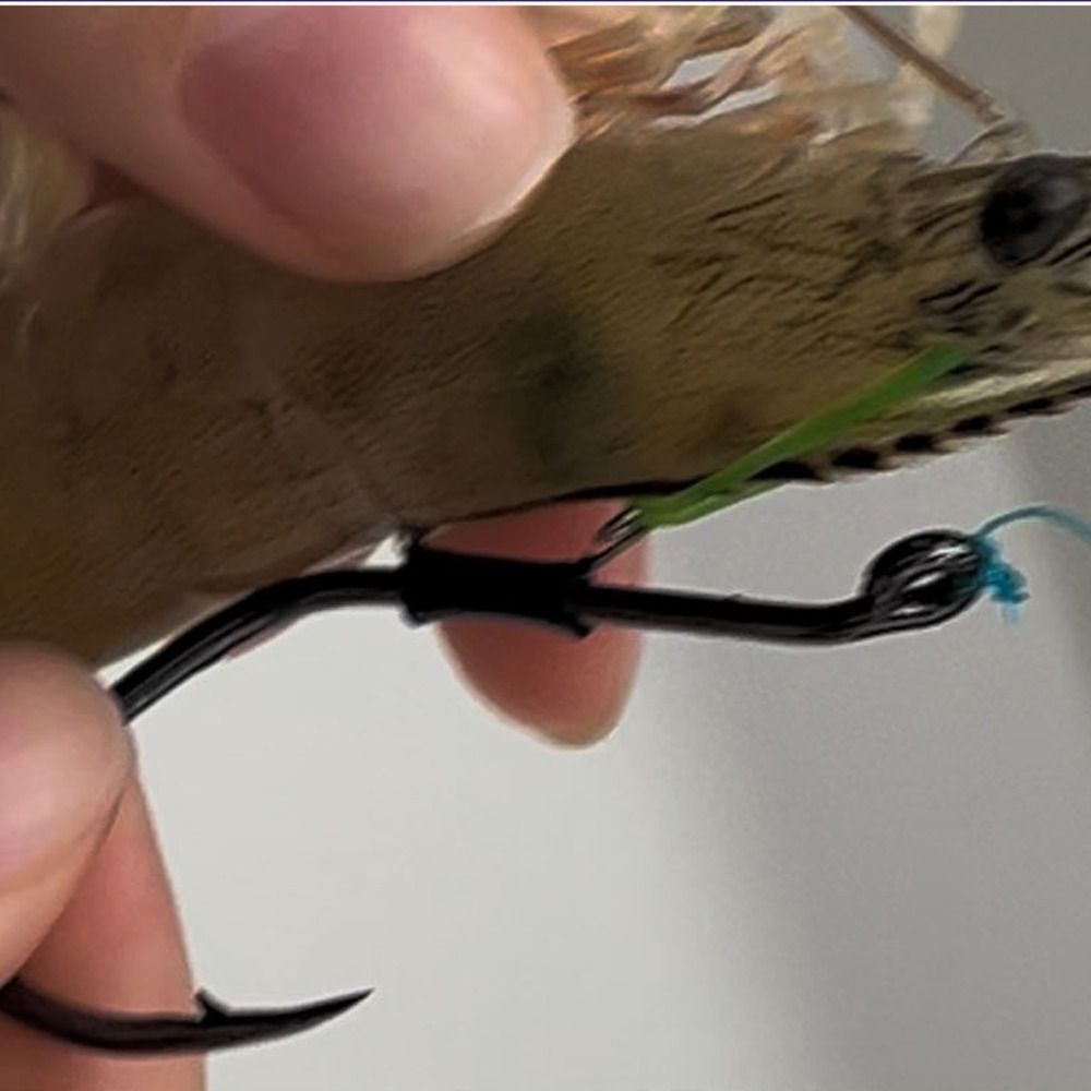 10pcs Pickerel Live Shrimp Bai – Fishing Hook Weedless Bewertung und Preis